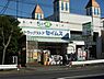 周辺：【ドラッグストア】 ドラッグセイムス千葉末広店まで403ｍ