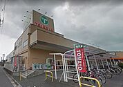 エコスTAIRAYA浦和栄和店 608m