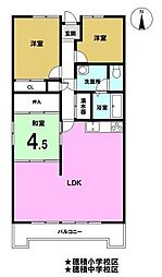 セザール穂積 3LDKの間取図画像
