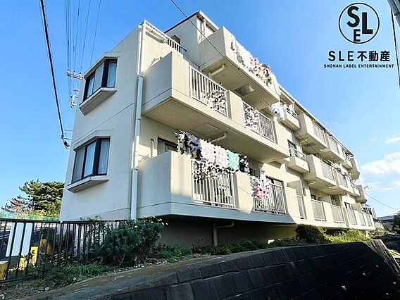 南西側は開けて...