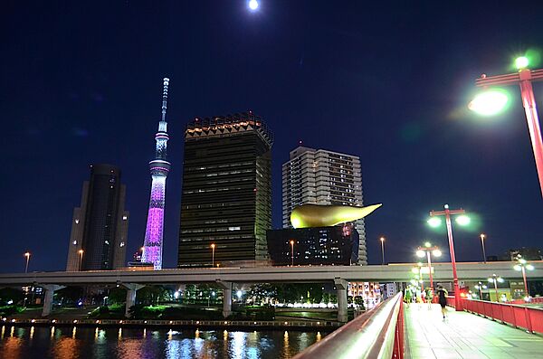 東京都台東区浅草５丁目(賃貸マンション1LDK・7階・47.20㎡)の写真 その19