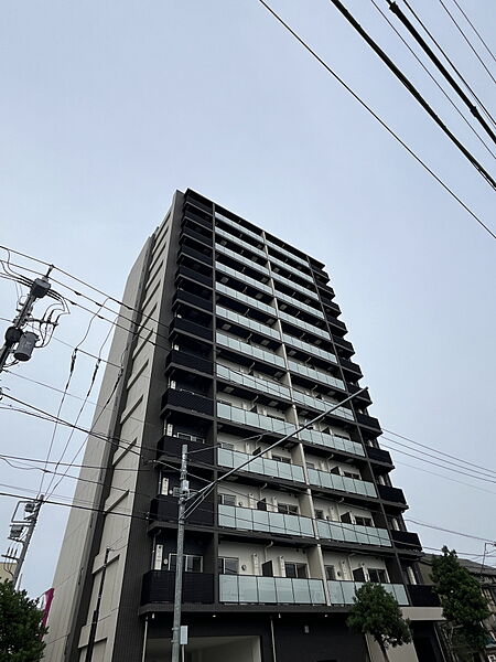 東京都葛飾区宝町１丁目(賃貸マンション1K・11階・21.28㎡)の写真 その1