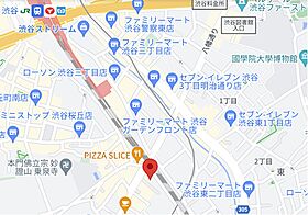 東京都渋谷区代官山町1-4（賃貸マンション1LDK・2階・46.17㎡） その23