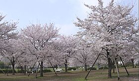 東京都江東区木場６丁目10-10（賃貸マンション1LDK・2階・40.92㎡） その28