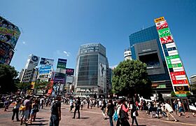 東京都渋谷区東３丁目16-6（賃貸マンション1K・5階・25.11㎡） その17