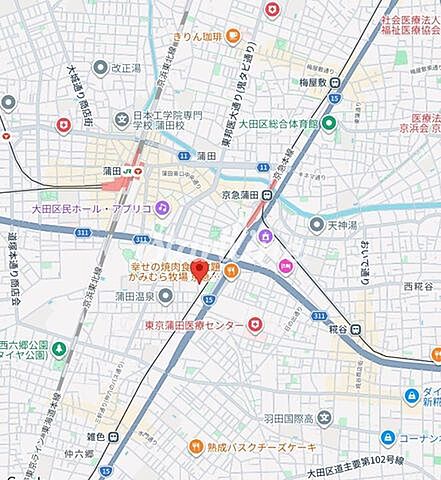 地図