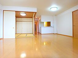 鹿児島市電2系統 水族館口駅 徒歩8分の賃貸マンション 14階3LDKのリビング/ダイニング