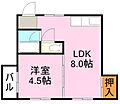 サンシュライン照国5階3.0万円