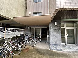 5 / 5