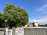 周辺：広野小学校