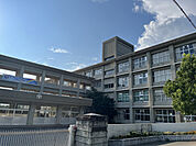 自由が丘中学校