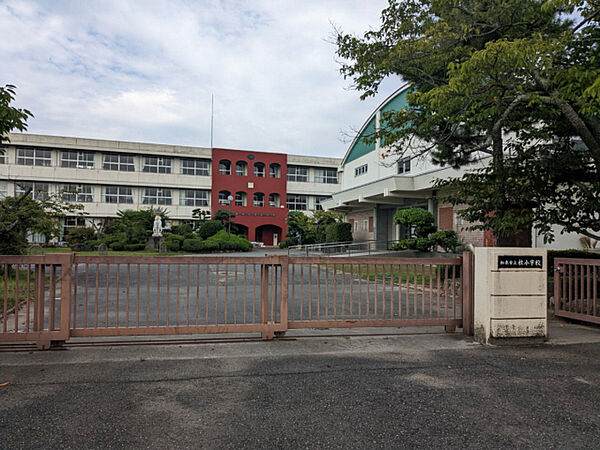 画像27:社小学校