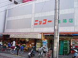 生鮮食品スーパー ニッコー 波徐店（606m）