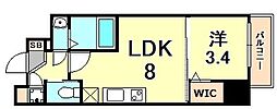 セレニテ三宮 1LDKの間取図画像