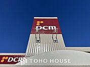 DCM