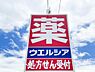 周辺：ウエルシア 流山西初石店