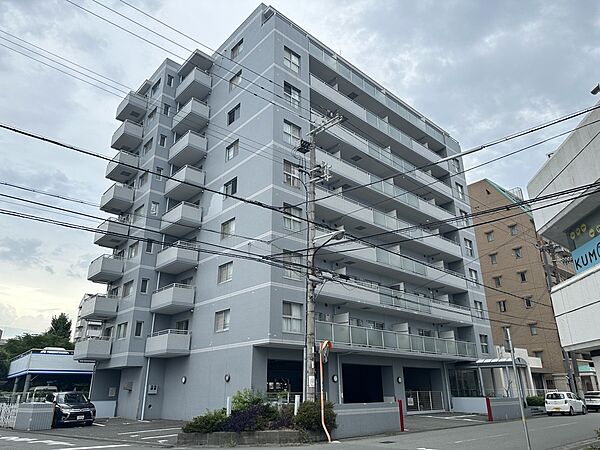 兵庫県姫路市安田２丁目(賃貸マンション1LDK・7階・48.77㎡)の写真 その1