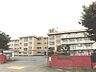周辺：【周辺環境/小学校】前橋市立新田小学校まで200ｍ（徒歩3分）。