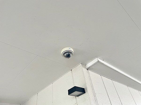 ワイ・エヌビル