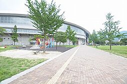 ロイヤルマジェスティ