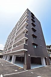エヴァーグリーンQ