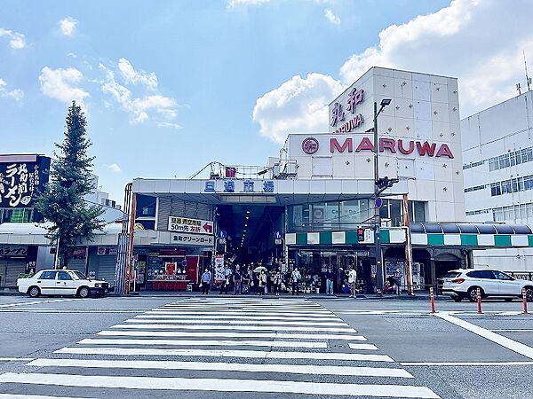 ロイヤルノースナイン