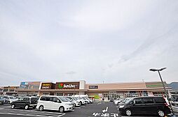 ☆サンリブきふね（営業時間 9:00-22:00）（430m）