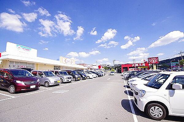 アヴニール吉志