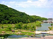 ☆福岡県営　中央公園（井堀5丁目）（310m）