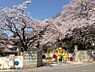 周辺：【幼稚園】東平幼稚園まで2313ｍ