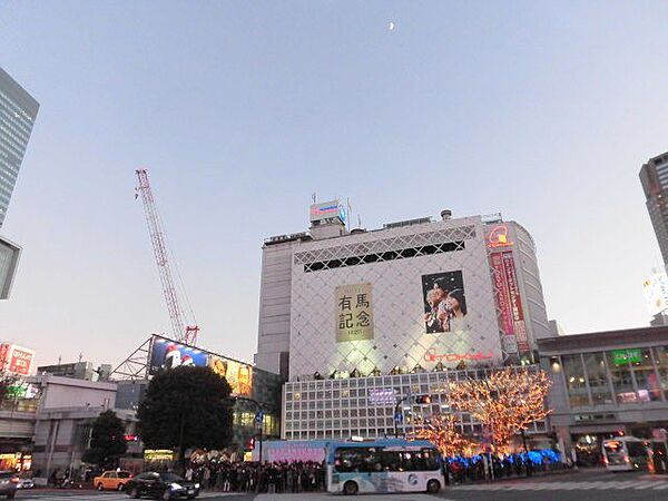 ノア渋谷パートII ｜東京都渋谷区宇田川町(賃貸マンション1LDK・10階・36.55㎡)の写真 その3