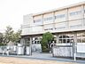 周辺：小金北小学校（442m）