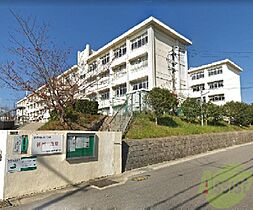 メゾン鈴蘭台南  ｜ 兵庫県神戸市北区鈴蘭台南町2丁目（賃貸アパート1K・1階・19.25㎡） その29