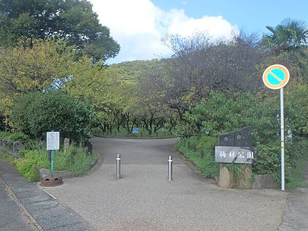 画像19:【公園】梅林公園まで1135ｍ