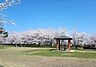 周辺：舞平公園 ブランコ・複合遊具・ターザンロープ・砂場などがある「ちびっこ広場」やどんぐりの実がたくさん実る「どんぐりの森」、のびのび走れる「芝生広場」があります。春には桜が公園全体に咲き誇り、お花見も…