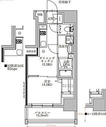 TENAS泉 9階1Kの間取り