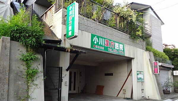 画像27:【総合病院】小川漢方医院まで443ｍ