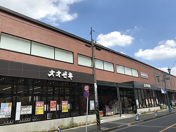 画像14:【スーパー】オオゼキ 松原店まで543ｍ