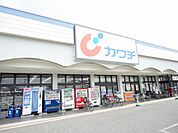 カワチ薬局