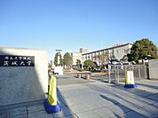 茨城大学