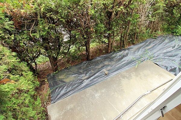 apartment 茨城県牛久市栄町
地図を見る