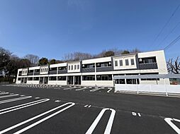 コスモス