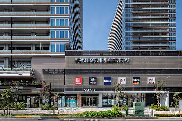 周辺 パークホームズ武蔵小金井フォレストフィールド 5階/-