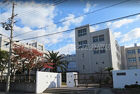 クリアクレセント住之江  ｜ 大阪府大阪市住之江区新北島3丁目（賃貸マンション3LDK・2階・65.03㎡） その18