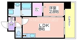 カウニスルーチェ