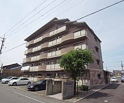 京阪本線 丹波橋駅 徒歩12分の賃貸マンション