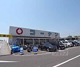 ホームセンターコーナン くいな橋店まで180m