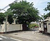 音羽小学校まで488m