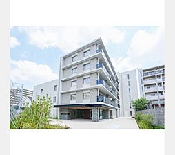 西武池袋線 大泉学園駅 徒歩13分の賃貸マンション