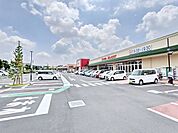 フォレストモール八王子大和田店 徒歩15分。 1170m